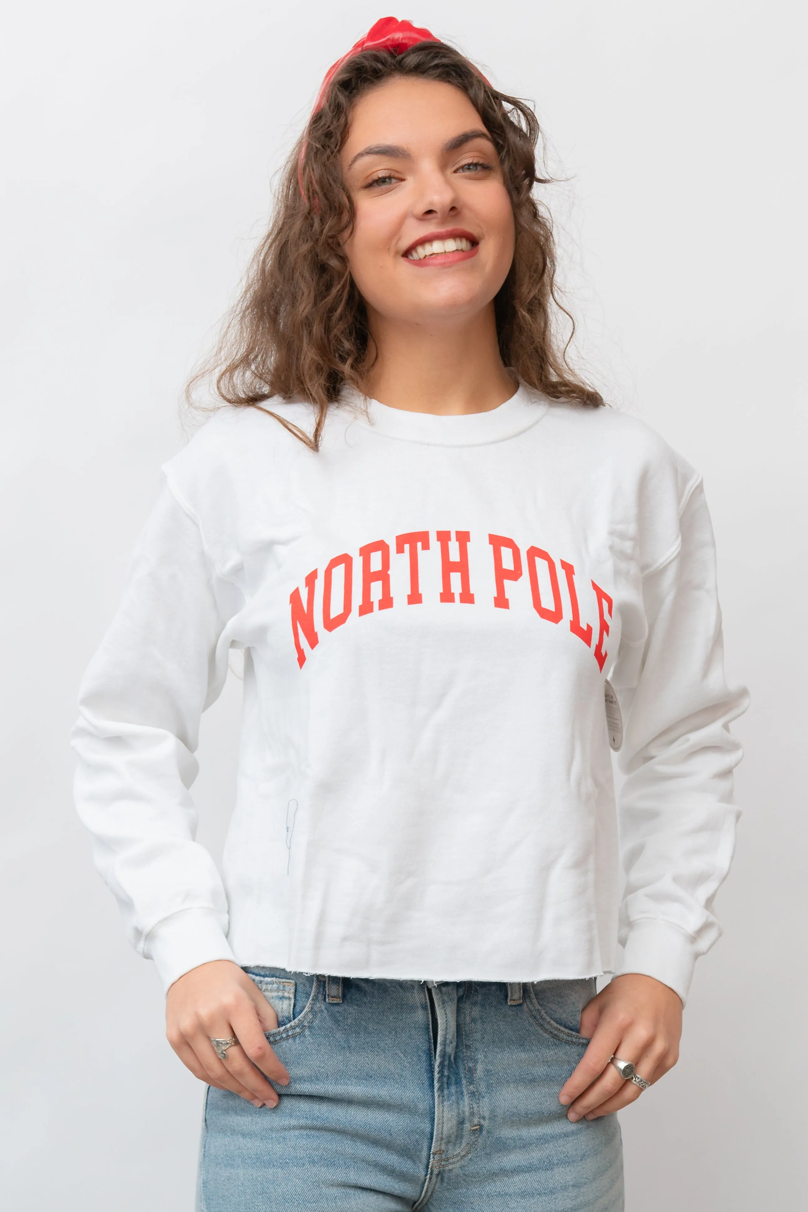 North Pole Sweater