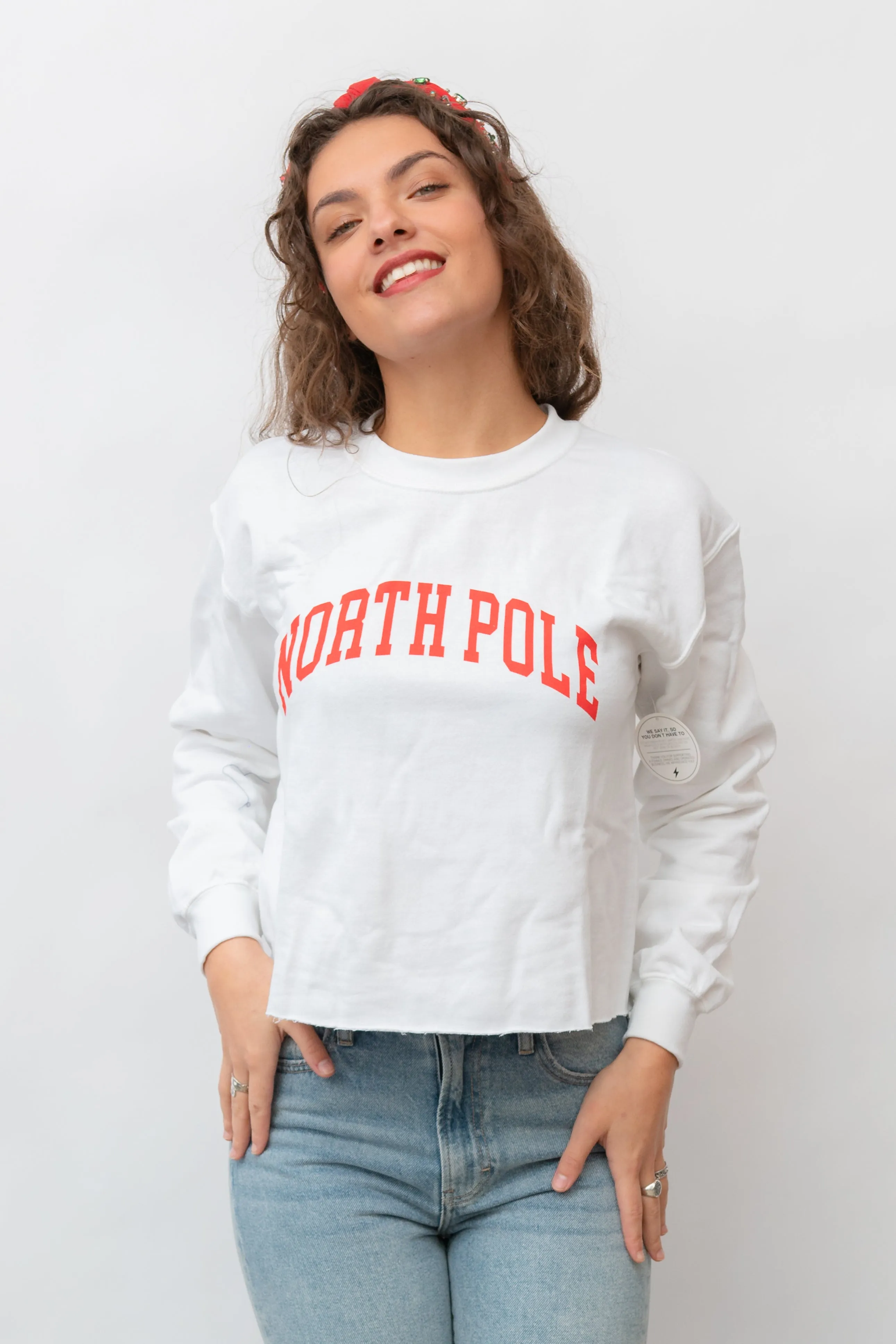 North Pole Sweater
