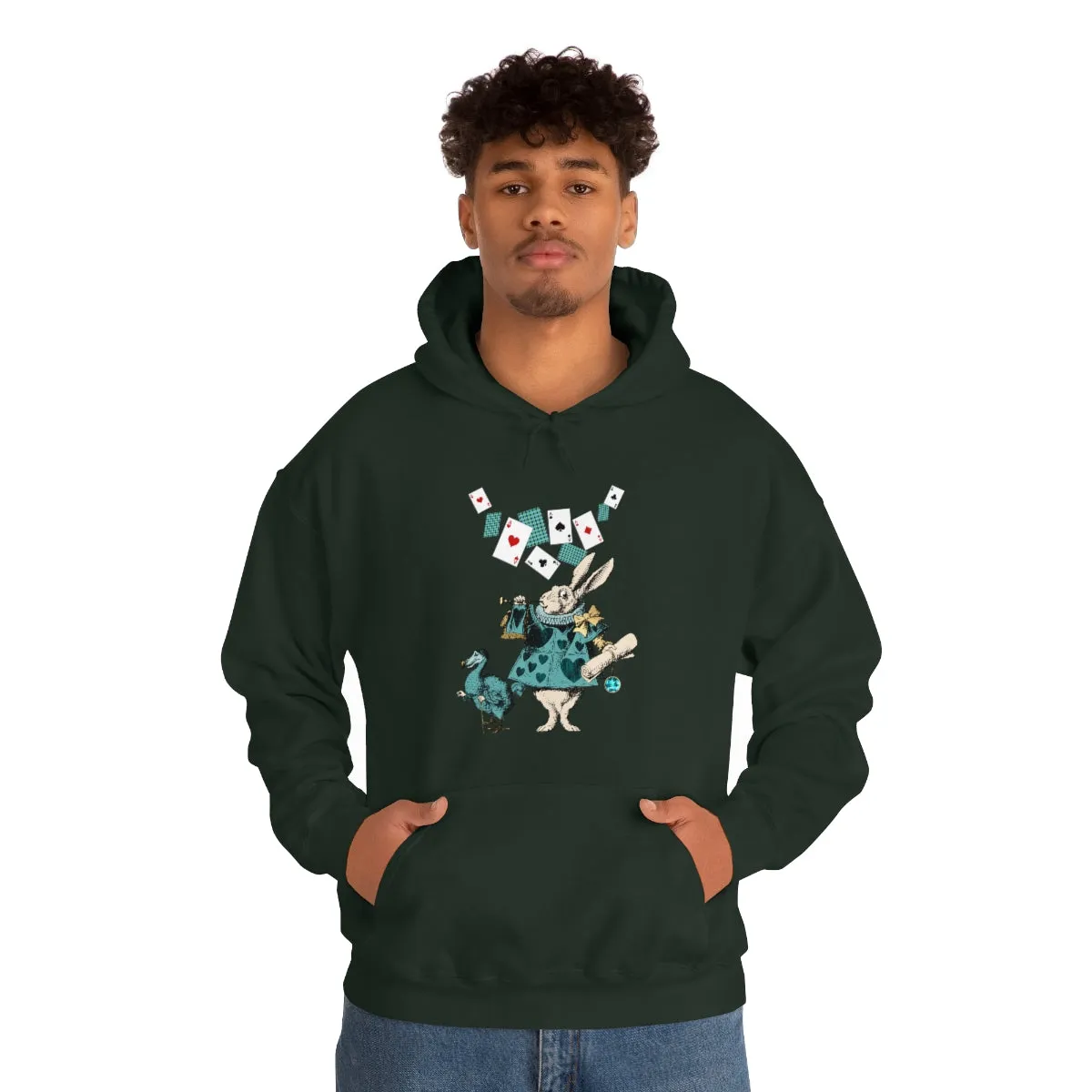 Pullover Hoodies-Alice in Wonderland Gifts 101 Teal Series, Gift Idea