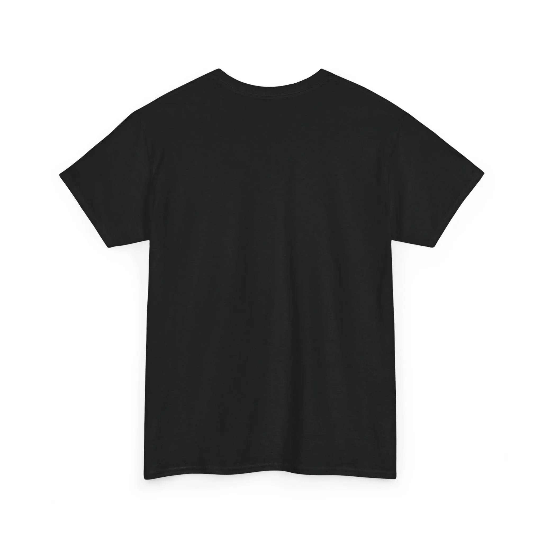 Revealed 3.0 Unisex Heavy Cotton Tee